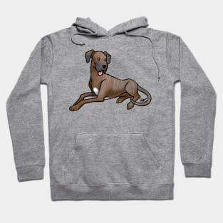 Dog - Great Dane - Brindle Natural Ears Hoodie